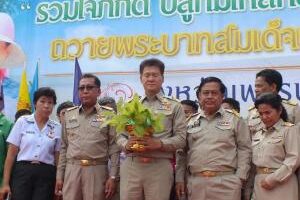 จังหวัดเพชรบูรณ์จัดโครงการรวมใจภักดิ์ ปลูกมเหสักข์ –สักข์สยามินทร์ เฉลิมพระเกียรติพระบาทสมเด็จพระเจ้าอยู่หัว