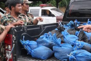 รวบหนุ่มเพชรบูรณ์ ลอบขนตัวนิ่ม 85 ตัว จ่อส่งนายทุนลาว คาด่านลับแล