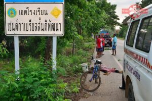 วิเชียรบุรีพ่อใหญ่วัย50ปั่นจักรยานไปทุ่งนาพบเสียชีวิตข้างทาง