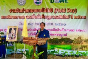 เพชรบูรณ์ผู้ตรวจราชการกระทรวงเกษตรและสหกรณ์ เขต 17 เปิดงานวันถ่ายทอดเทคโนโลยี(Field Day)