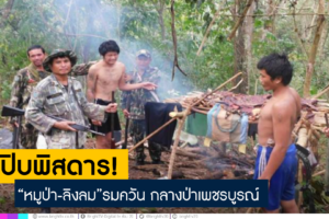 รวบแก๊งพราน! เปิบพิสดาร“หมูป่า-ลิงลม”รมควัน กลางป่าเพชรบูรณ์