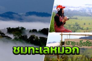 ชมทะเลหมอก ดูอารามเก่า ที่บ้านสนสวย ภูเขาฟูจิเมืองไทยในเพชรบูรณ์