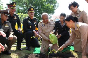 จ.เพชรบูรณ์จัดพิธีปลูกต้นรวงผึ้ง ไม้มงคลพระราชทาน ประจำรัชกาล ที่ 10