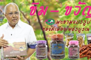 ผู้ว่าฯ เพชรบูรณ์ พาชิม มะขามแปรรูป ขิม – ขวัญ ของดี จ.เพชรบูรณ์