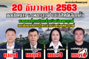 สรุปการรับสมัครรับเลือกตั้งเป็นนายกองค์การบริหารส่วนจังหวัดเพชรบูรณ์ และสมาชิกสภาองค์การบริหารส่วนจังหวัดเพชรบูรณ์ ระหว่างวันที่ 2-6 พฤศจิกายน 2563