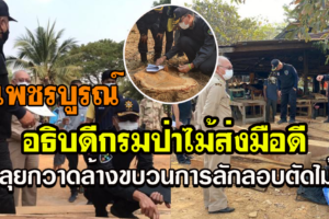 เพชรบูรณ์-อธิบดีกรมป่าไม้ส่งมือดีร่วมตร.-ทหาร-ชุดพยัคฆ์ไพรลุยกวาดล้างขบวนการลักลอบตัดไม้