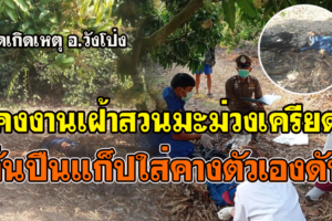 อ.วังโป่ง-คนงานเฝ้าสวนมะม่วงเครียดลั่นปืนแก๊ปยิงตัวเองดับคาที่