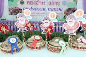 จ.เพชรบูรณ์ จัดประกวดสุดยอดมะขามหวาน 5 สายพันธุ์ ในงานมะขามหวานนครบาลเพชรบูรณ์