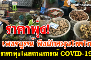 เพชรบูรณ์ พืชผักสมุนไพรไทย มีราคาจำหน่ายสูงขึ้นในสถานการณ์ COVID-19