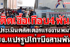 ประเมินคลัสเตอร์แรงงานพม่า รง.แปรรูปไก่ฯบึงสามพันติดเชื้อสูงเกือบ 4 พันคน