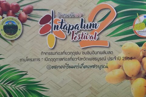 อบจ.เพชรบูรณ์ เชิญชวนร่วมกิจกรรมท่องเที่ยวฤดูฝน... ชมชิมอินทผลัม “Intapalum Festival” ครั้งที่ 2 ในรูปแบบ New Normal