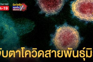 อนามัยโลกจับตา โควิดสายพันธุ์ใหม่ มิว เสี่ยงหลบภูมิคุ้มกันได้ พบแล้วใน 39 ประเทศ