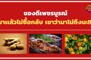 ของดีเพชรบูรณ์ มาเเล้วไม่ซื้อกลับ เขาว่ามาไม่ถึงนะ!!!